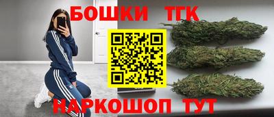 ECSTASY Камышлов