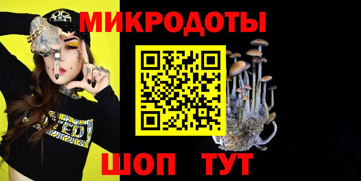 Псилоцибиновые грибы мицелий Унеча